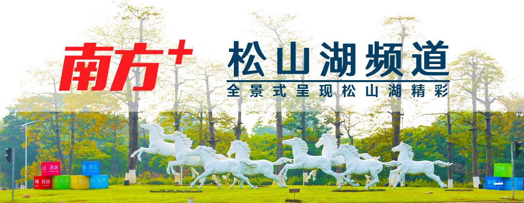 政府组织生产安全事故救援演练,松山湖开展复学演练