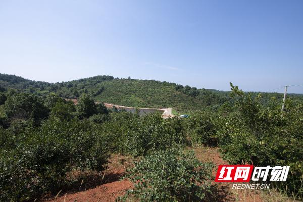 向泽忠：我的驻村故事