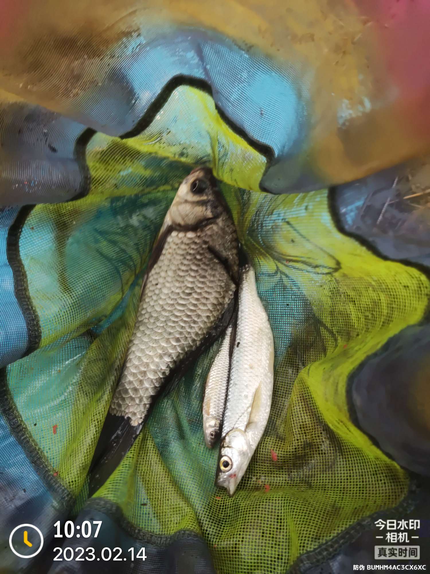 出师不利打道回府下一句,出师不利怎么回事