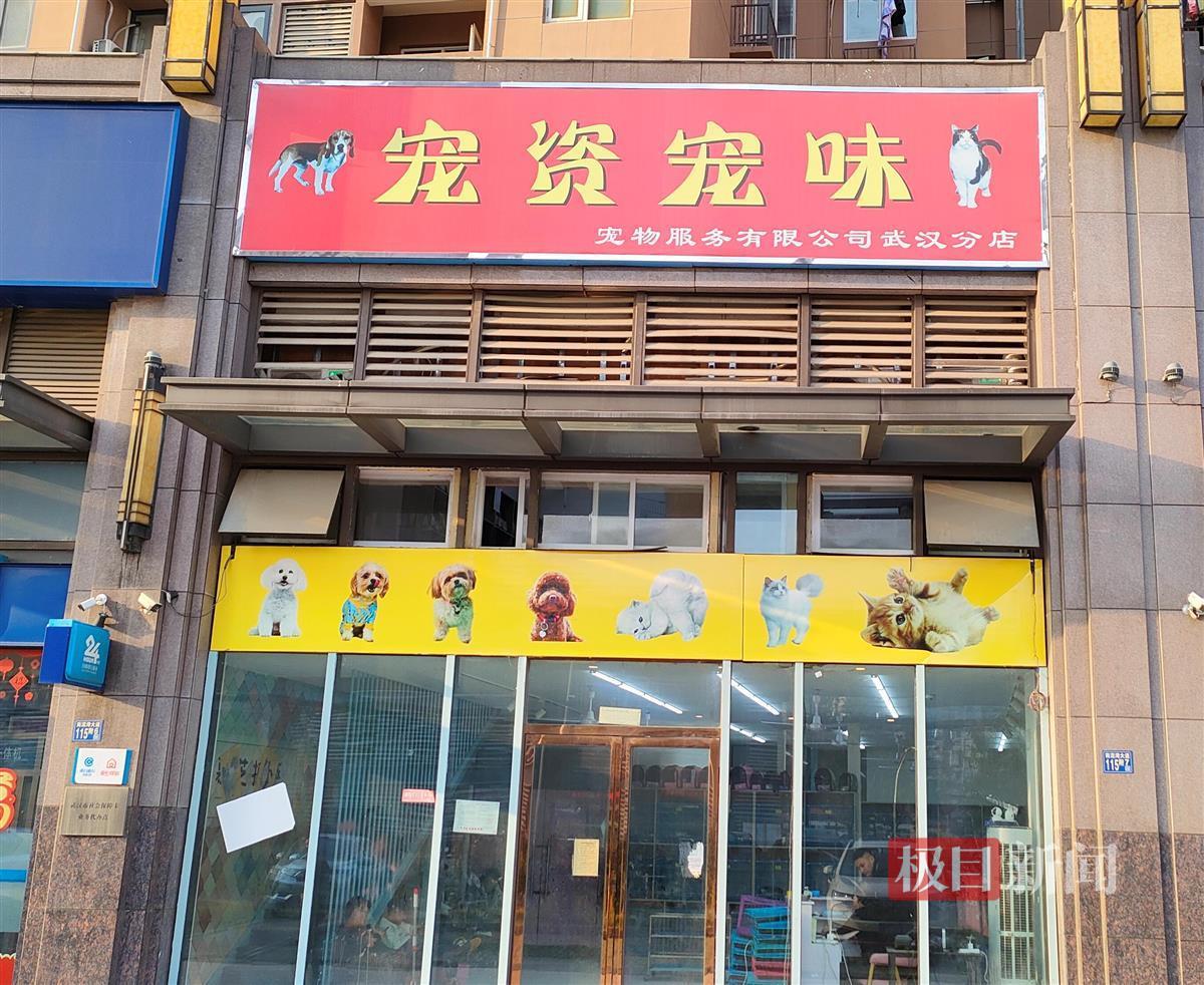 极目315,小狗3天细小花了2000多商家退钱吗