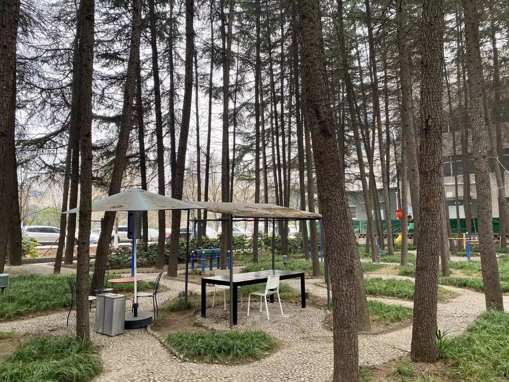 广东招网络与新媒体实习生,西部人才网最新招聘信息