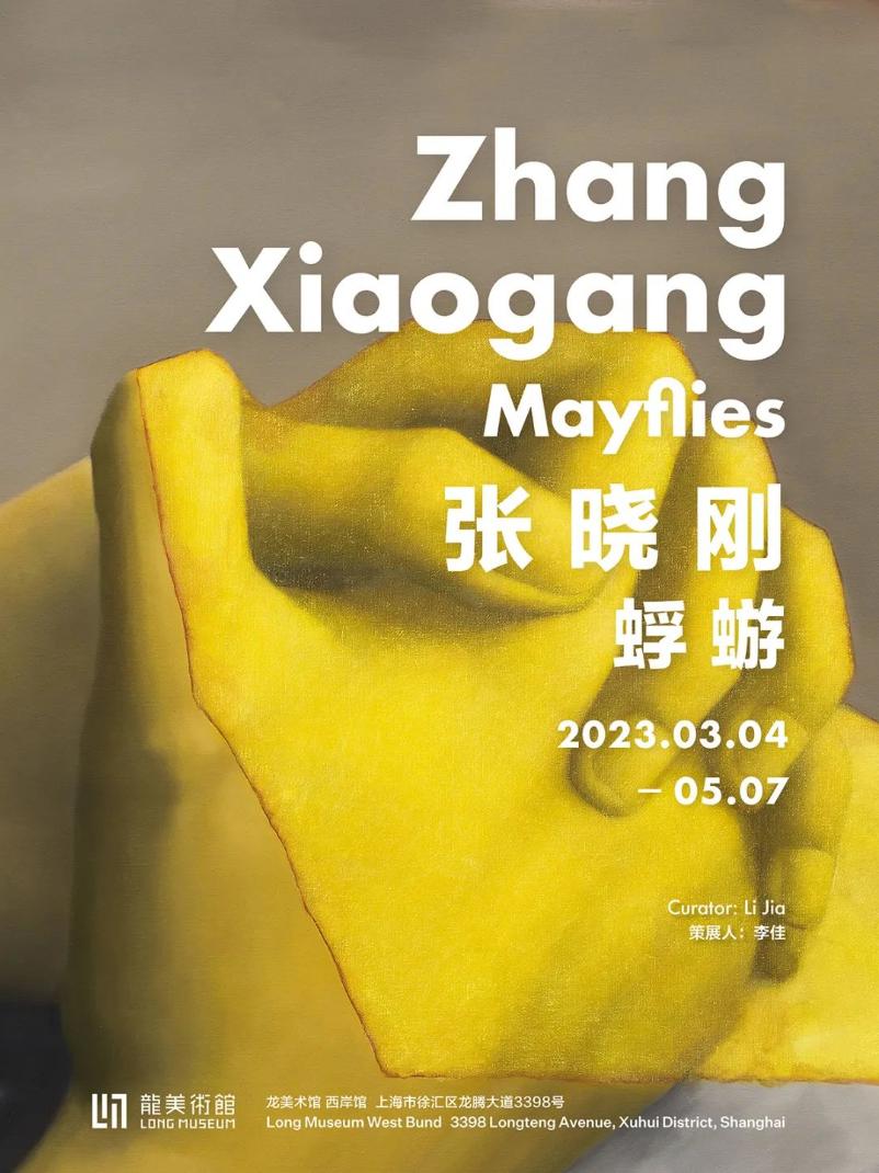 维米尔画展,荷兰维米尔展