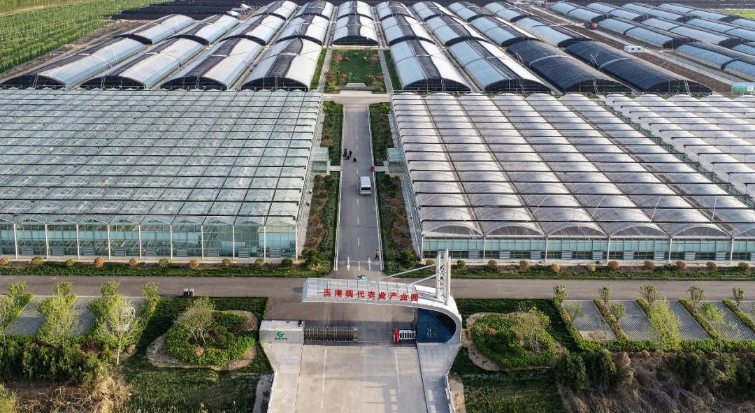 落子布局,产业布局加快区域产业高质量发展