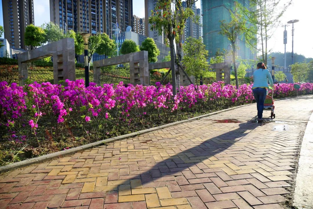 利川的变化,他们眼中的松阳