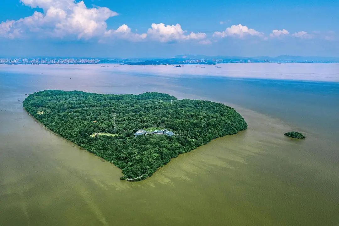 湖南省景区免票详单,湖南景区免票最新政策