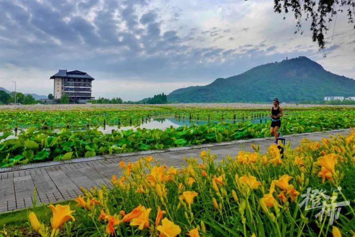 杭州出发郊外骑行路线推荐,杭州龙井骑行路线推荐