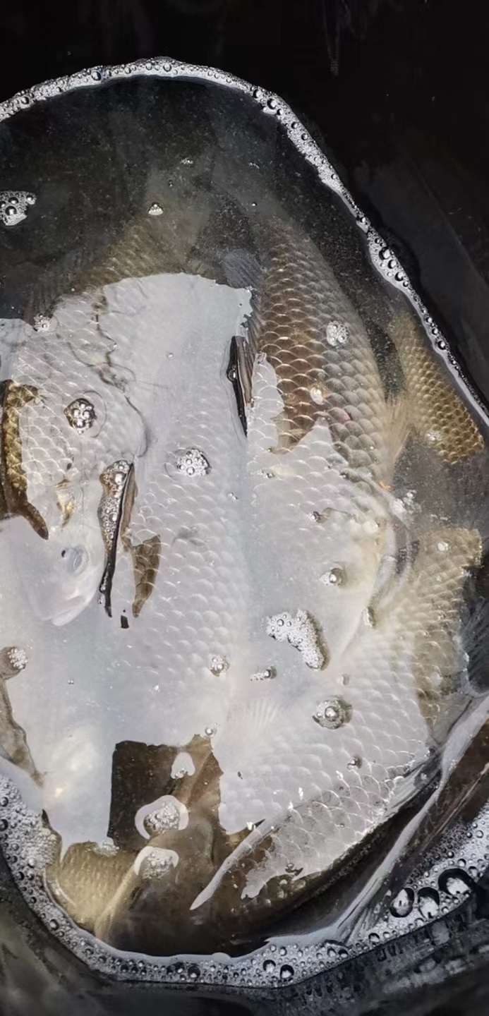 组团力战散养塘，结果令人太惊讶？