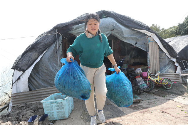 田头菜直送，90后听障女生走出一条电商新路