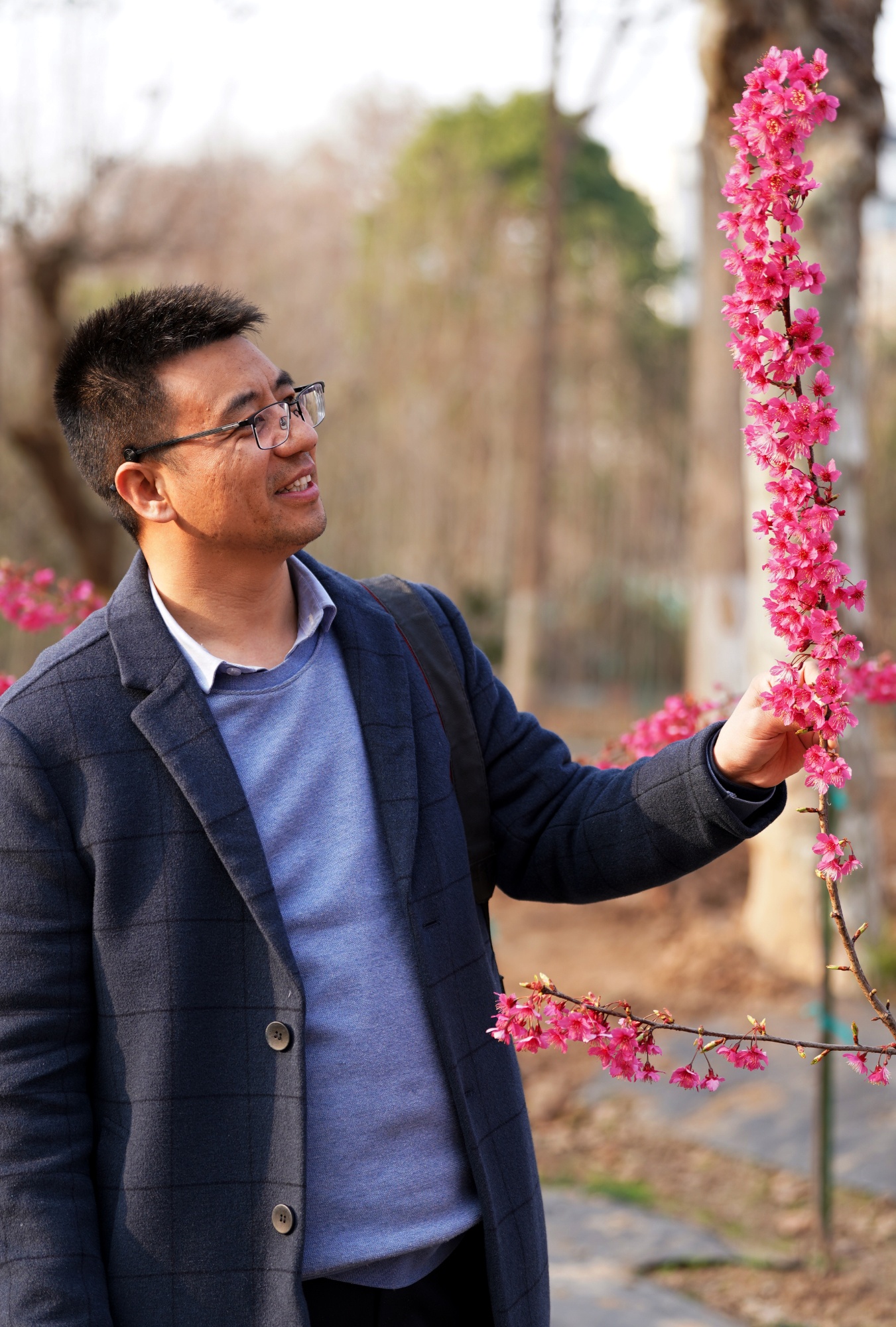 “楚”字头樱花品种再上新！武汉国樱“八楚争妍”