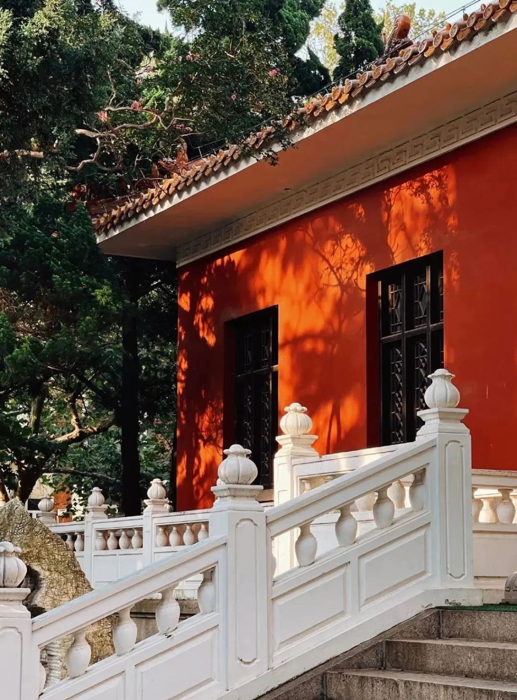 半岛叨叨丨放假7天！青岛这所高校冲上热搜，网友：又是别人家的学校