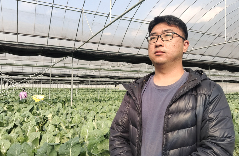 宣威市田坝镇发展,宣威市田坝镇收入