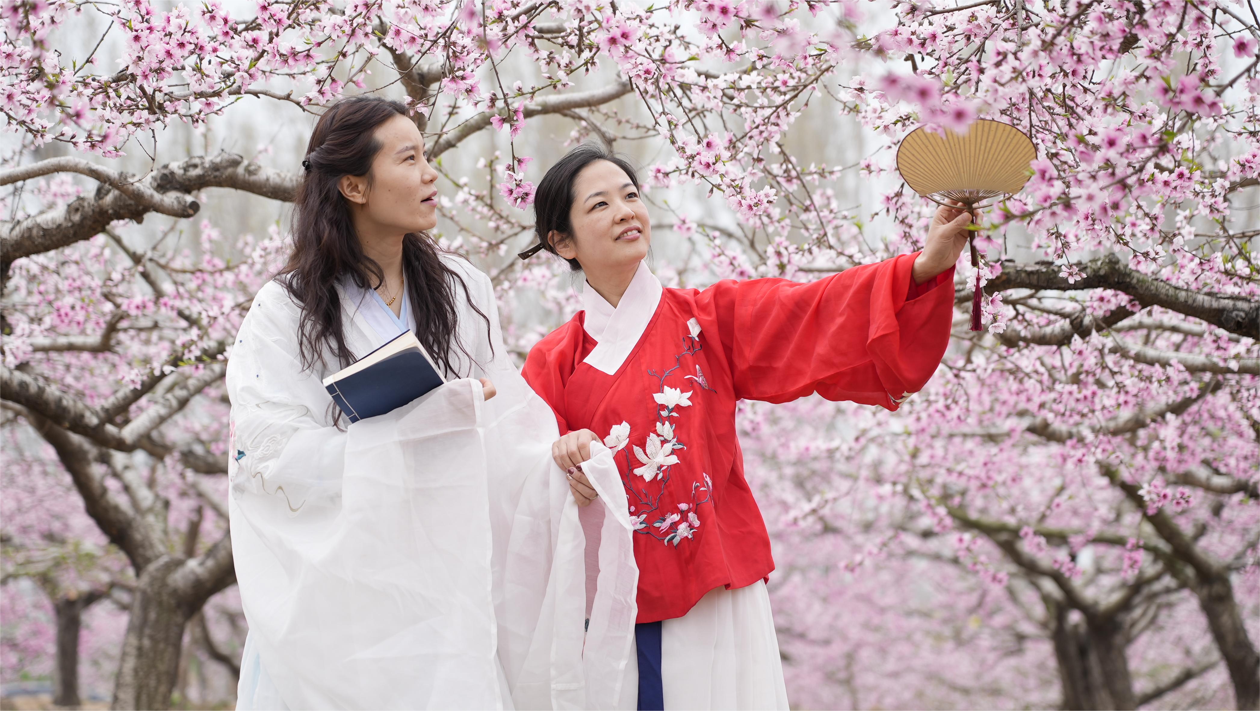 如诗如画最美田园风光,醉人的田园风光让人赏心悦目