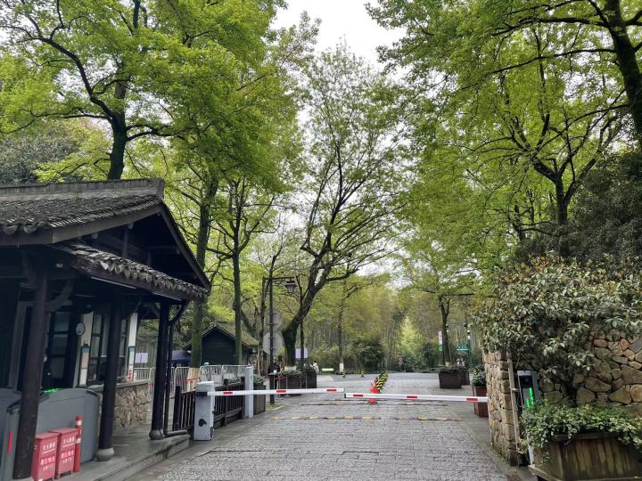 杭州出游免门票推荐,杭州游玩怎样免门票