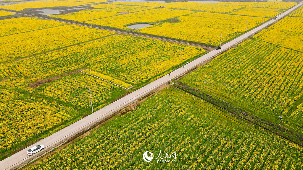 春天花“卉”开朵朵含情迎客来