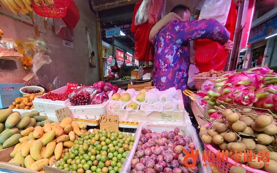 李子多久上市,李子上市时间
