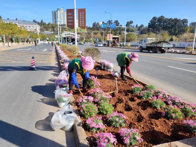 有一种叫云南的生活|云南的“宝藏绿化带”里可不只有迷迭香!