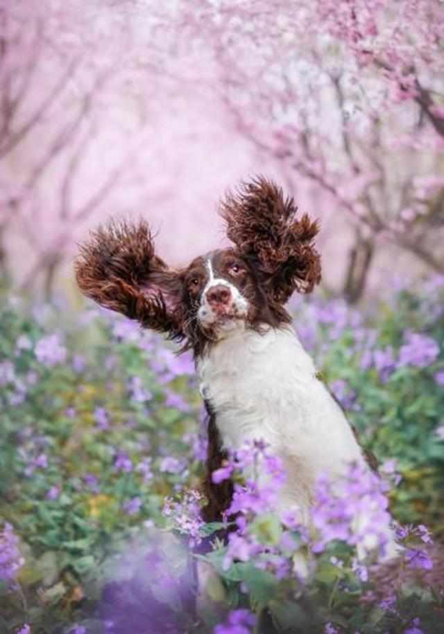 新品丨三镜齐发，17mm、50mm、23mm灵动登场！