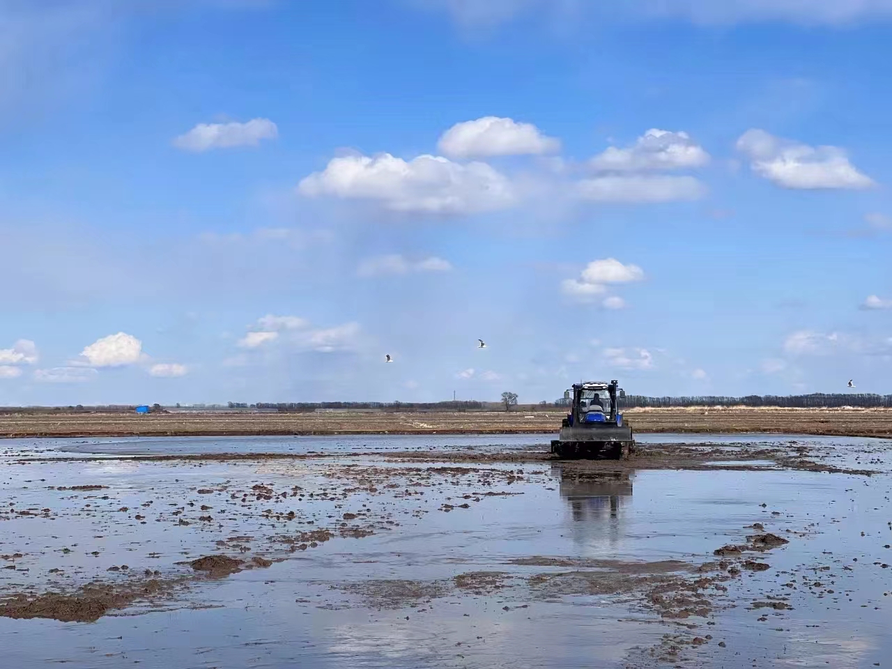水田整地现场会,高效水田整地