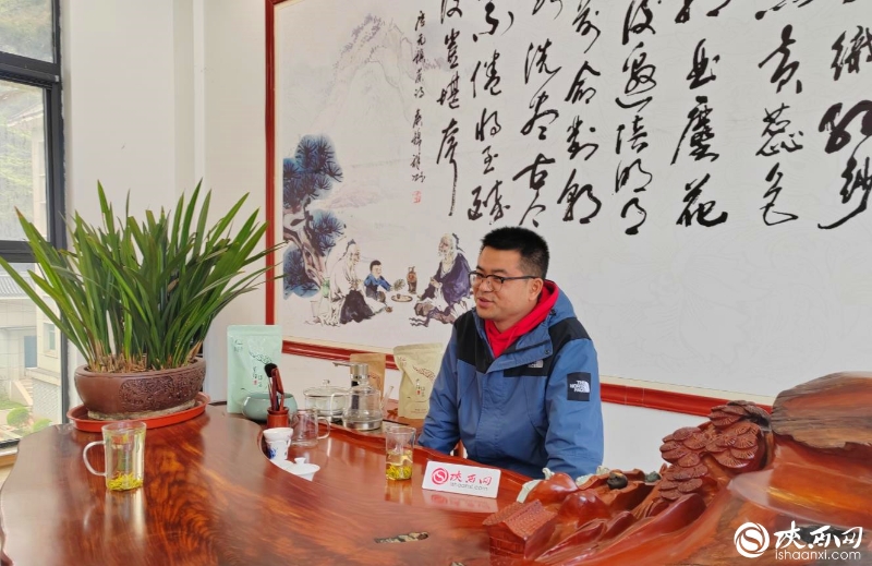 追光的新农人｜唐果：从媒体人到茶叶新农人热情永不变