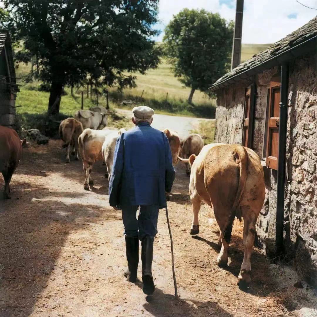 书法展览赵孟頫,赵孟頫成都展览到几号