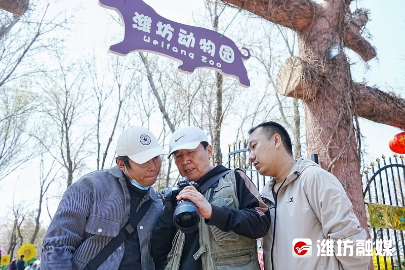 潍坊金宝乐园风景图片,潍坊金宝乐园游览图片大全