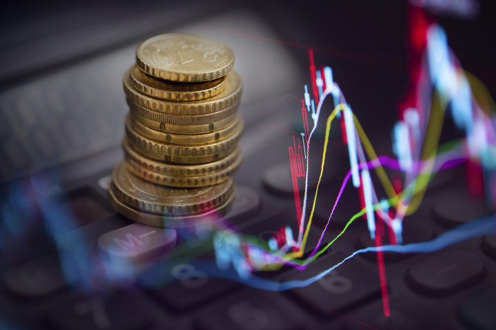 了不起的地瓜,了不起的地瓜墨西哥