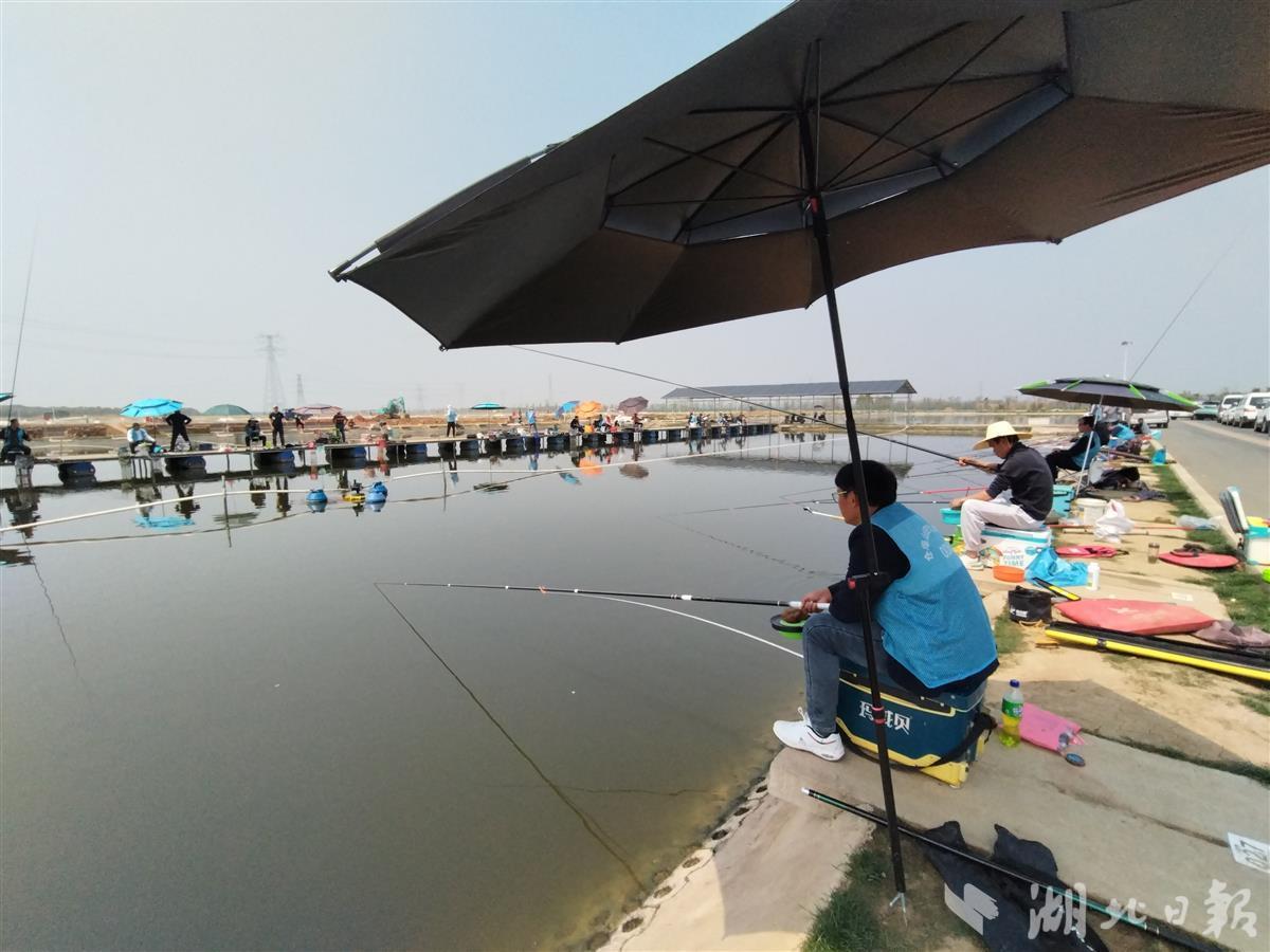 湖北一杆钓出百亿大产业,湖北钓鱼占比全国7成