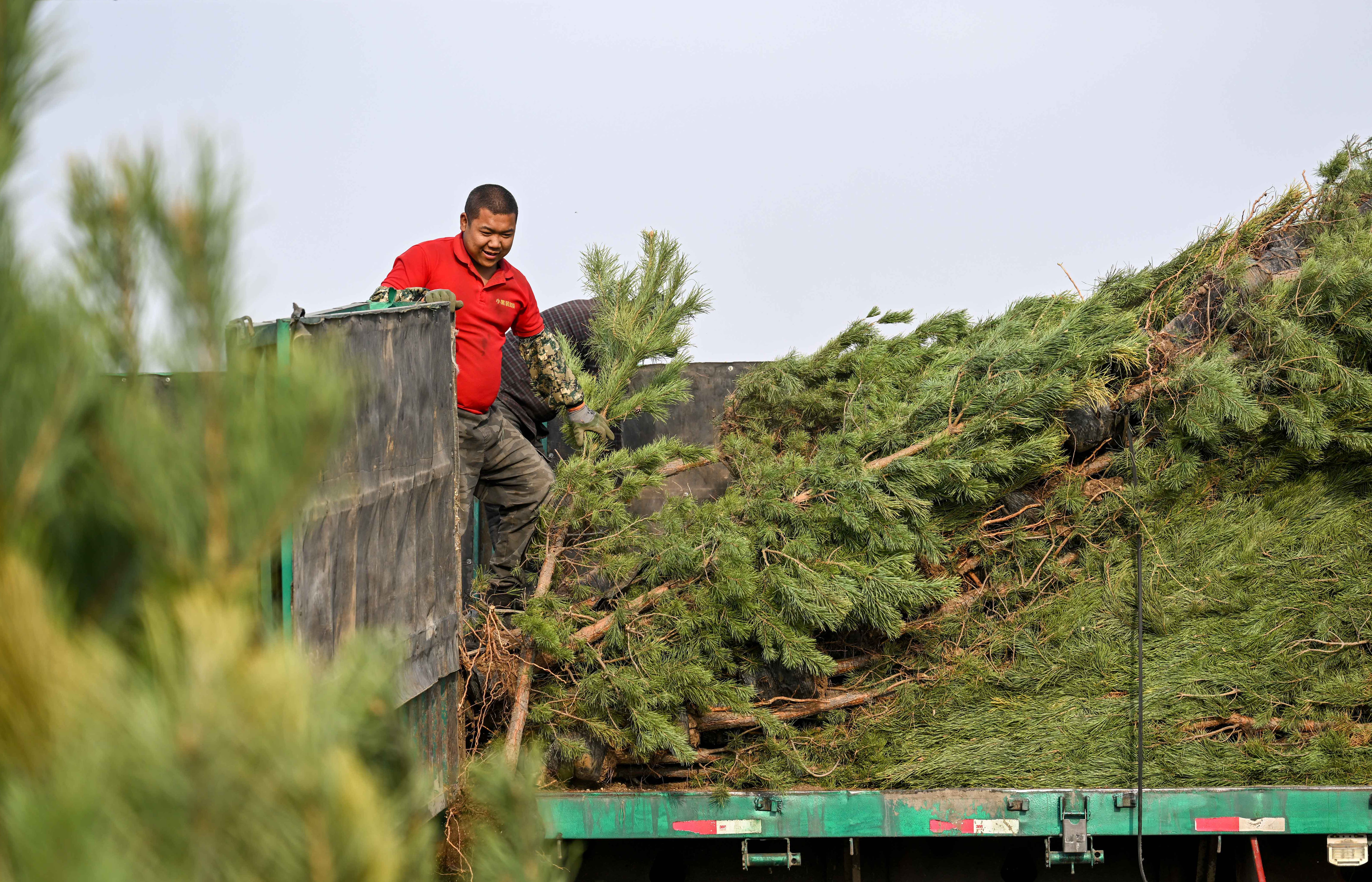 中国的绿色发展对世界意味着什么,中国的绿色发展视频素材