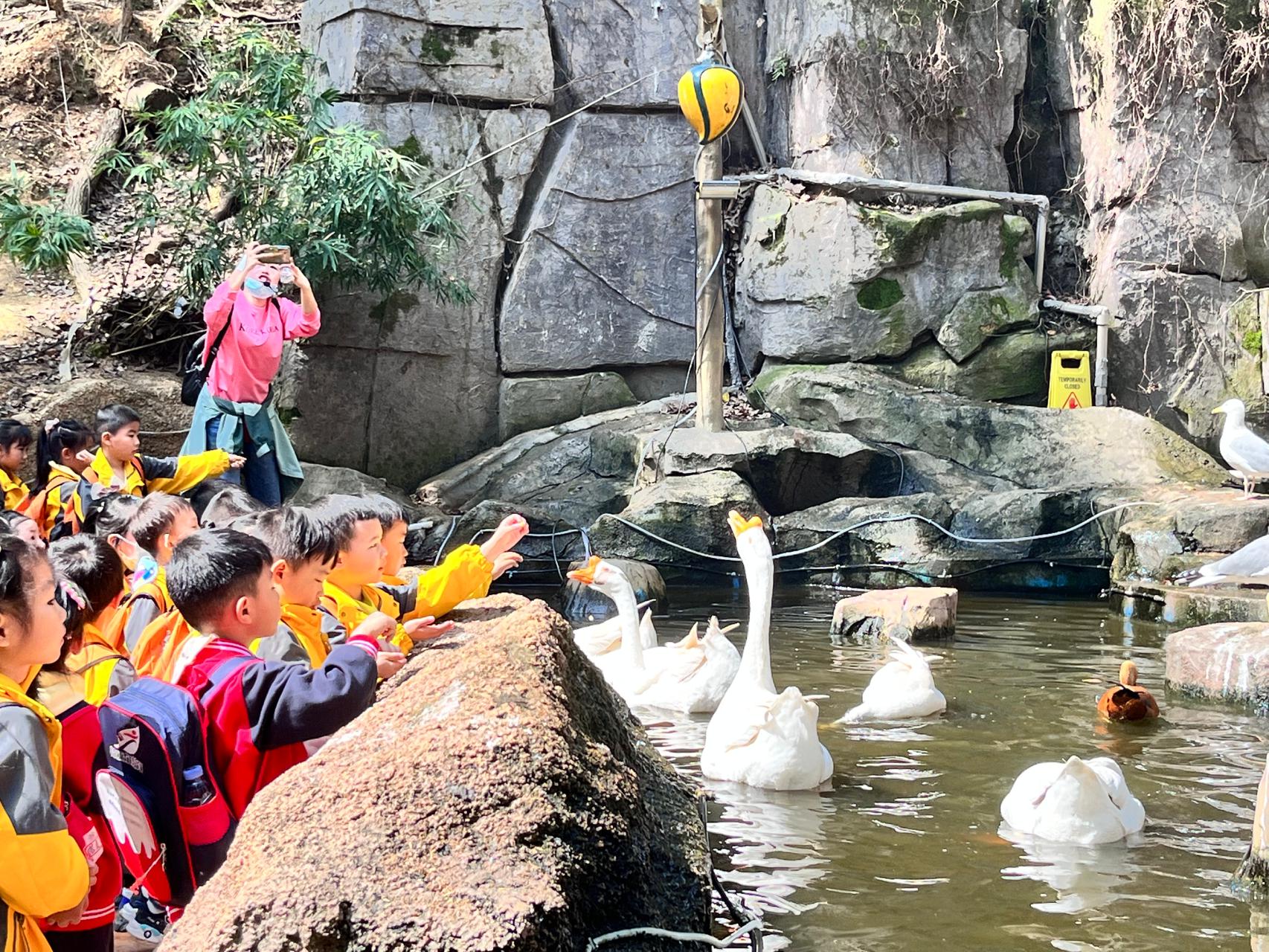 长沙网红必去的景点,网红景区推荐长沙