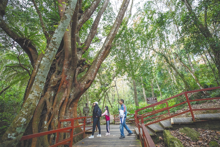 海南暑假旅游攻略自由行,海南研学亲子游