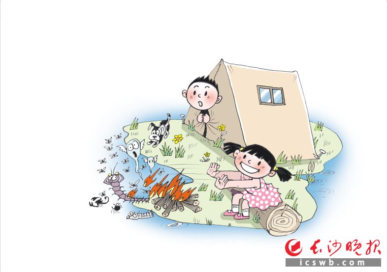 夏季应对毒虫叮咬的急救知识,户外毒虫叮咬如何急救