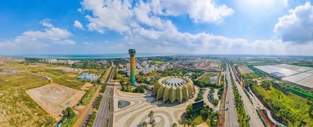 让青年扎根海口成为幸福的事！这篇文章这么说→