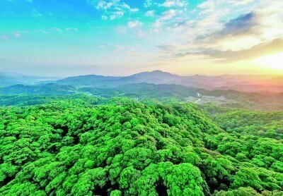 行走美丽乡村寻求绿色发展的感悟,踏上生态美百姓富的康庄大道