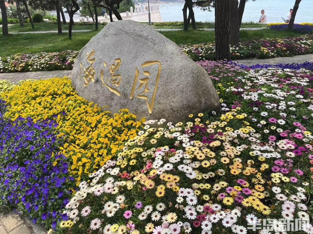 看海、健身、遛娃……青岛口袋公园功能多，承载市民满满的幸福