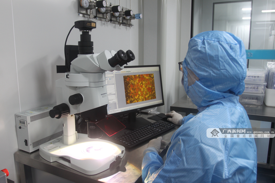 胰岛素移植治疗糖尿病最新进展,再生胰岛移植治疗1型糖尿病