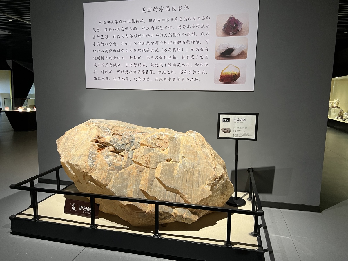 淄博傅山自然地质博物馆官网,淄博傅山自然地质博物馆