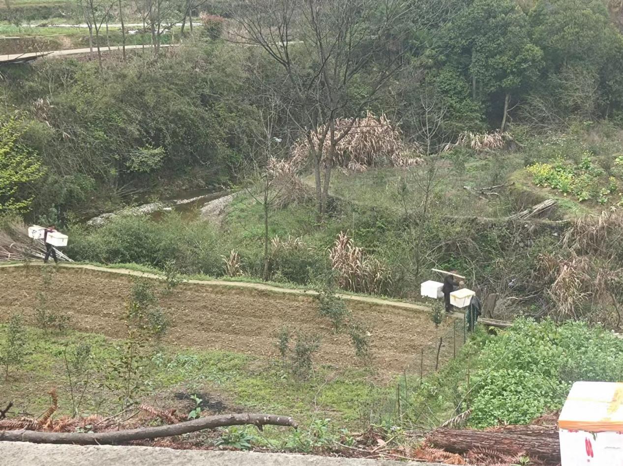 四庄乡大溪村,湖北通城四庄乡大溪