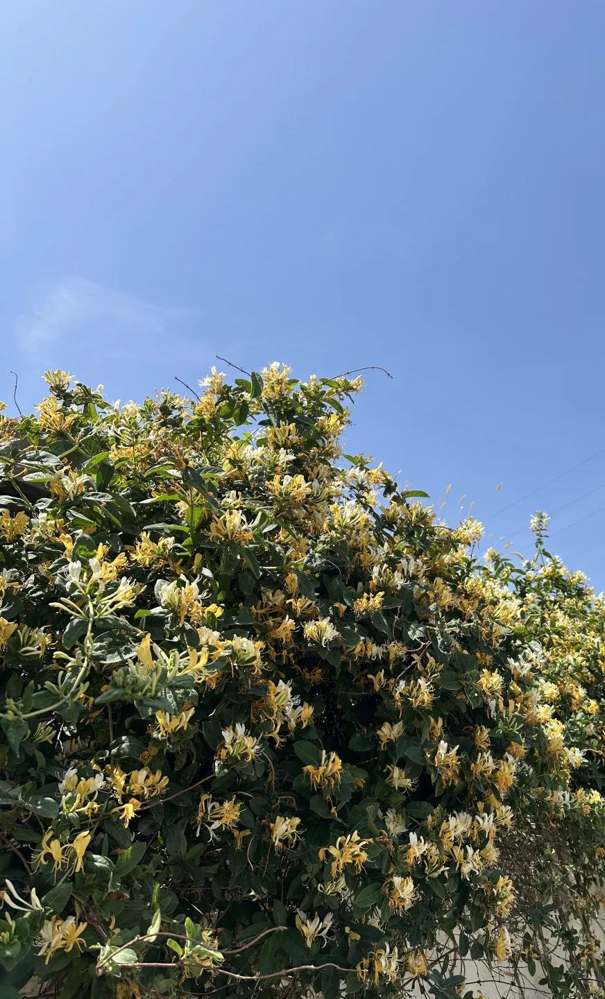 房山值得去玩的地方,房山周末适合去哪里玩