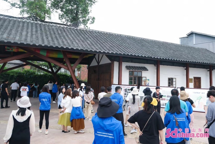 百家融媒重庆行,百家融媒重庆行探访彭水阿依林海