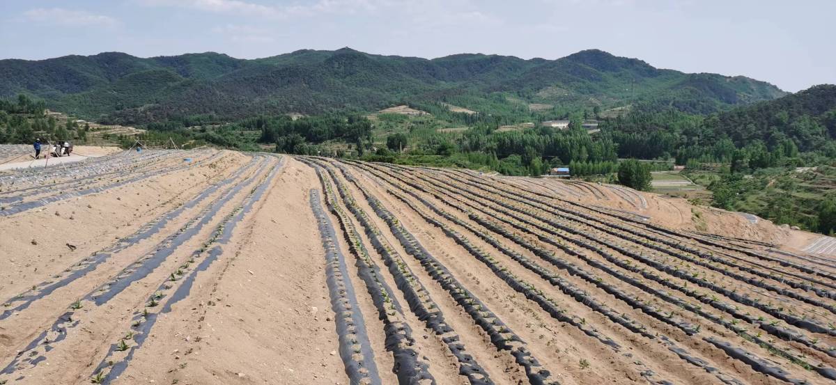 合伙人思维,合伙人创新思维