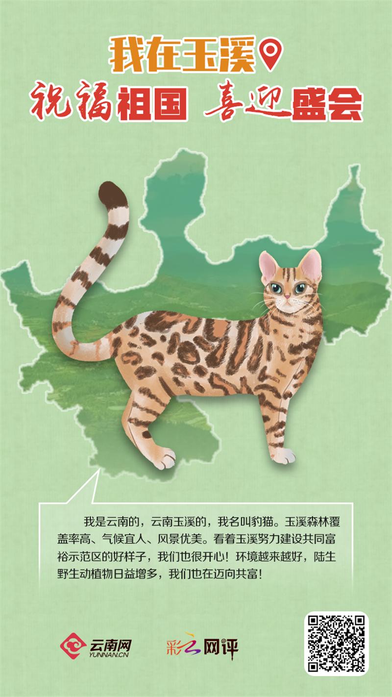 云南社会责任,云南日报社会责任报告