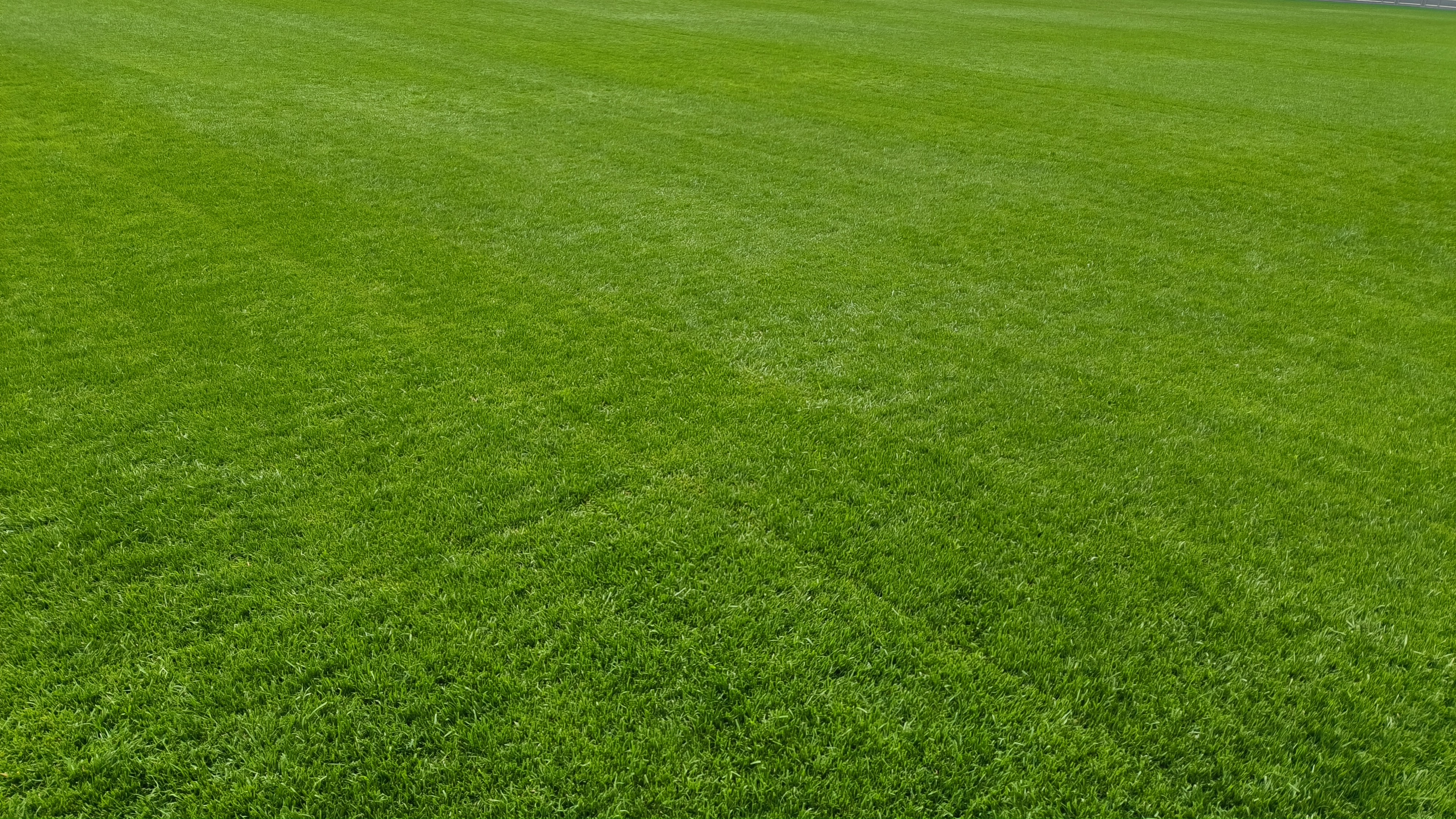 泰达足球场王者归来,泰达足球场再投用后首场中超比赛