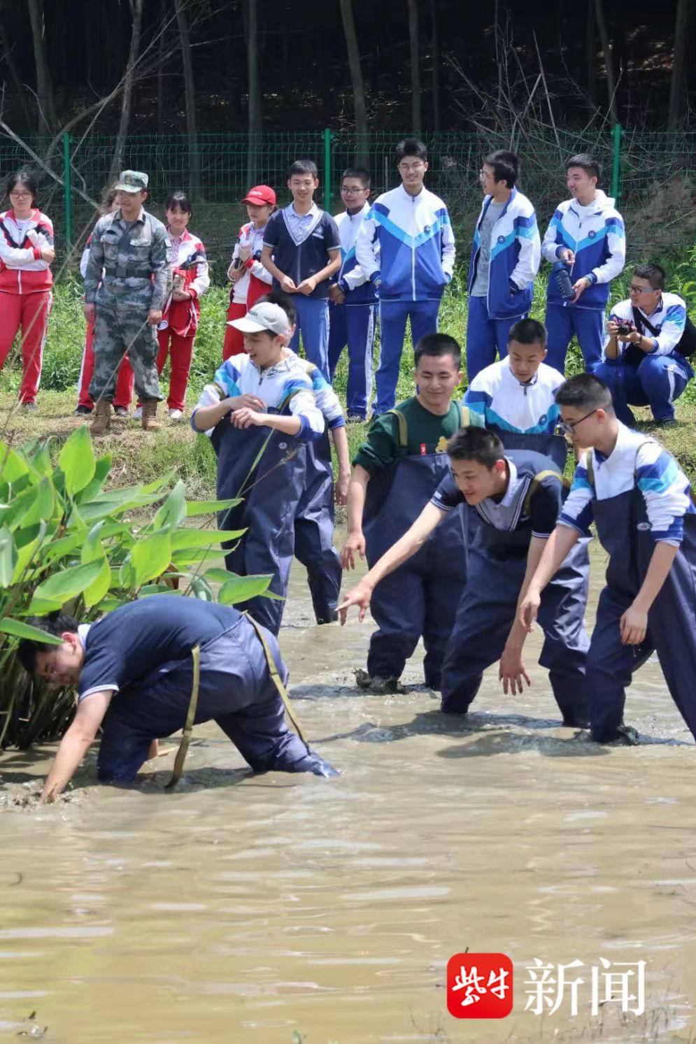 奋跃而上钢琴版,金陵中学一校两址办学