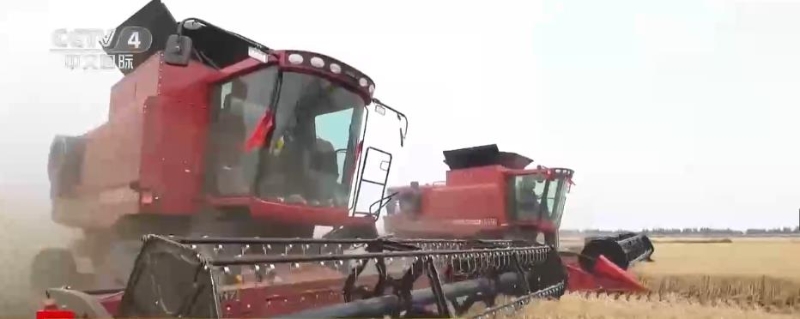 “三跑地”改造成为“三保田”小杂粮种出新希望