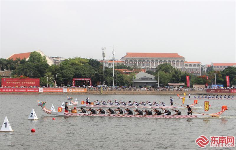 厦门集美龙舟参赛队伍,厦门集美划龙舟比赛视频