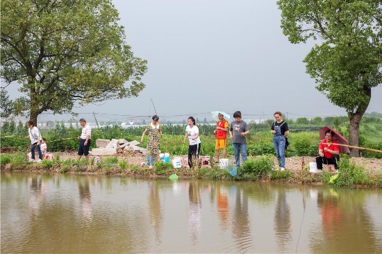 辛巴推动行业高质量发展,婺城一田两用一水双收稻虾轮作助农增收