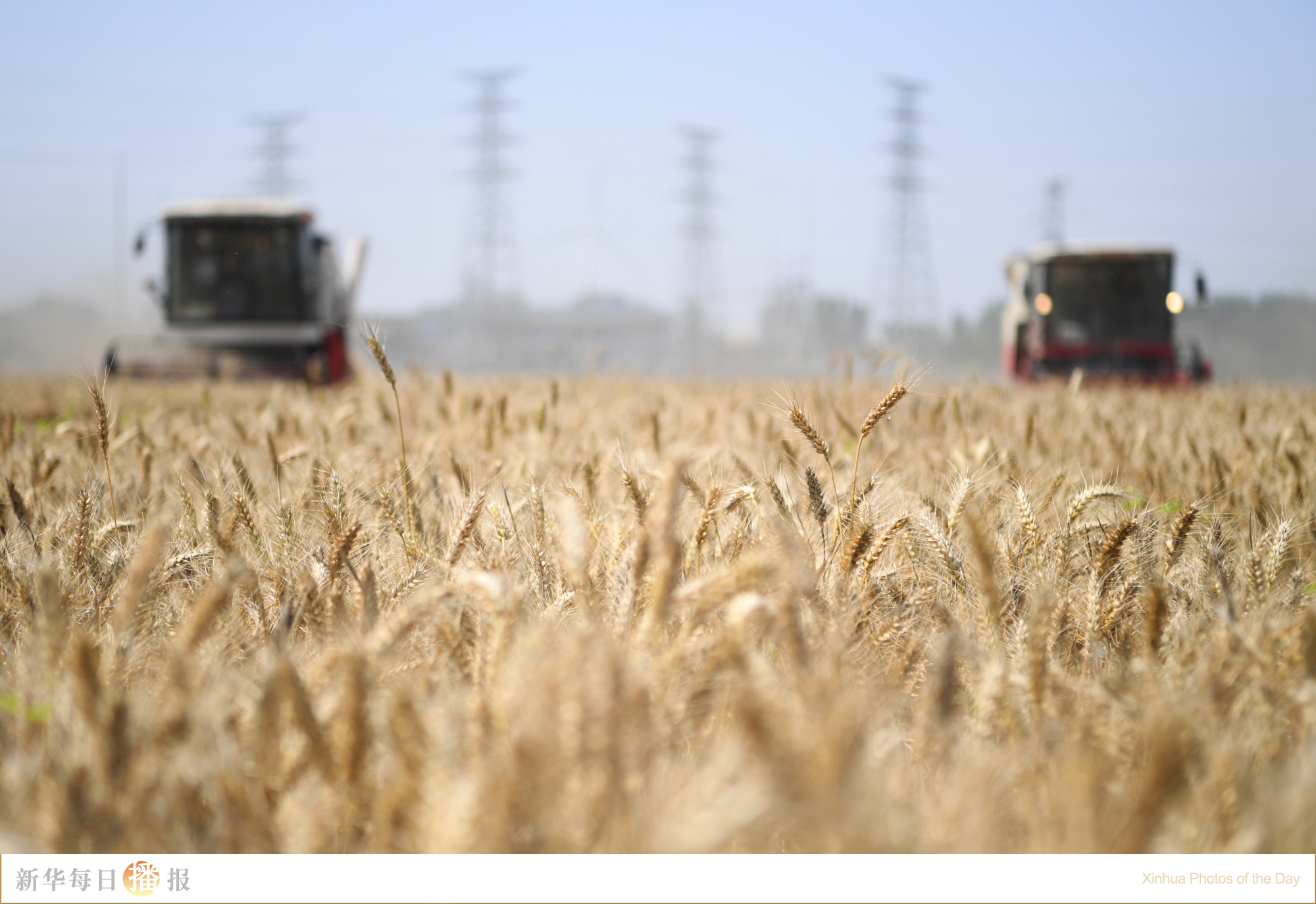 新华每日播报5月1日,新华每日播报