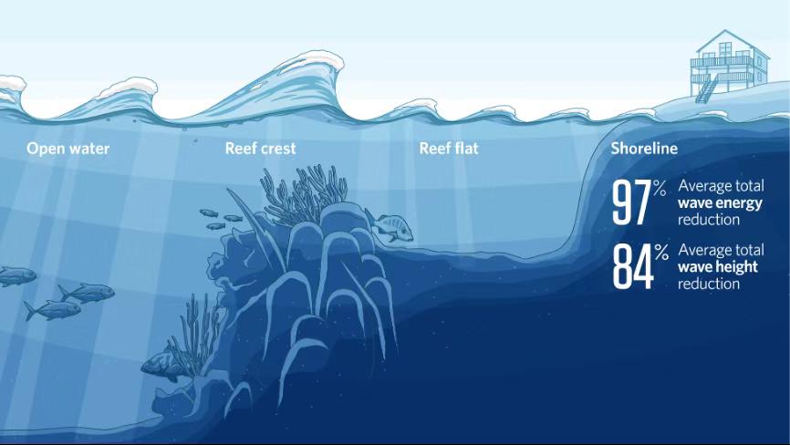 世界海洋日内容图片,世界海洋日海底世界