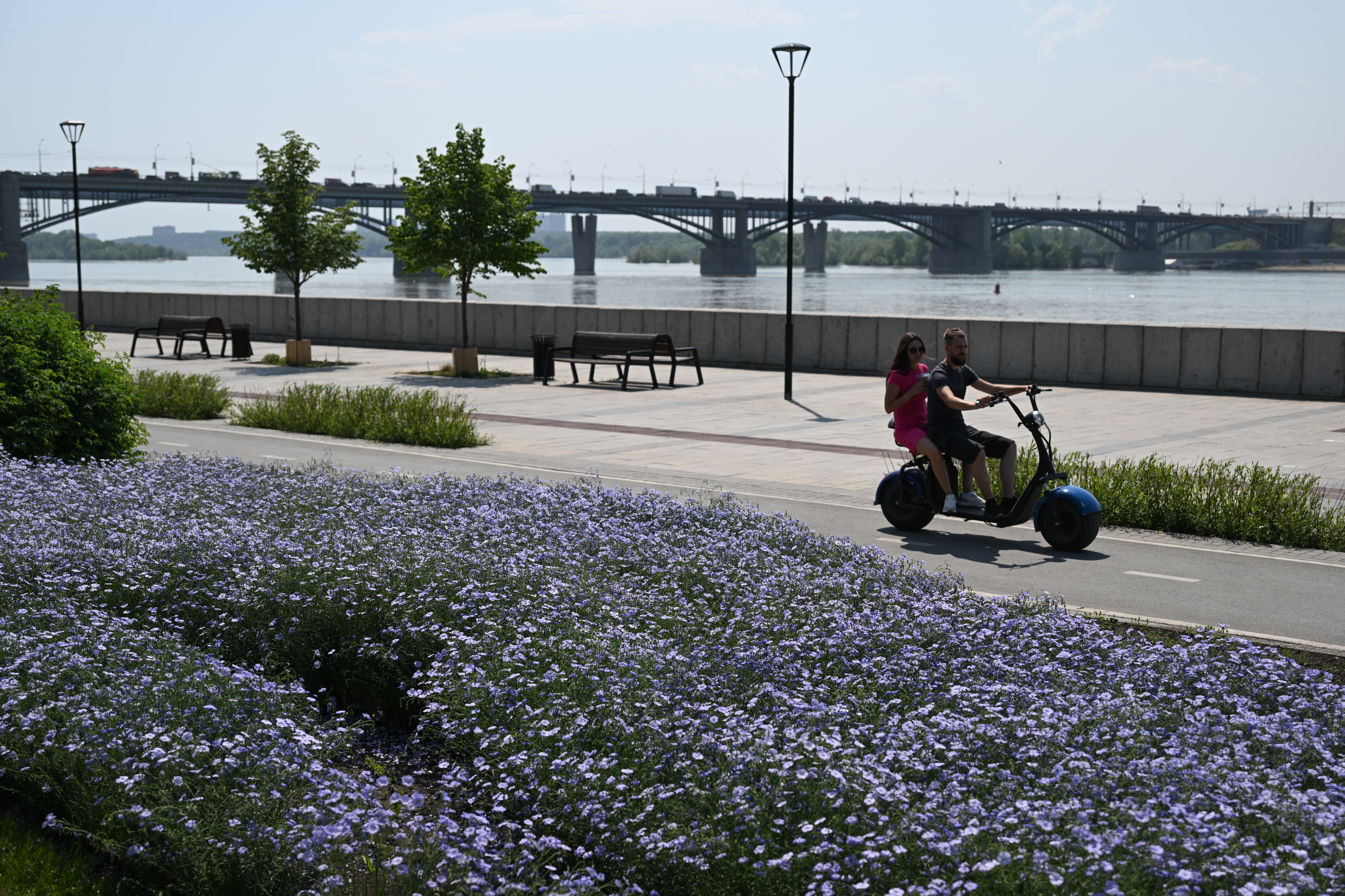 （外代二线）新西伯利亚的夏天