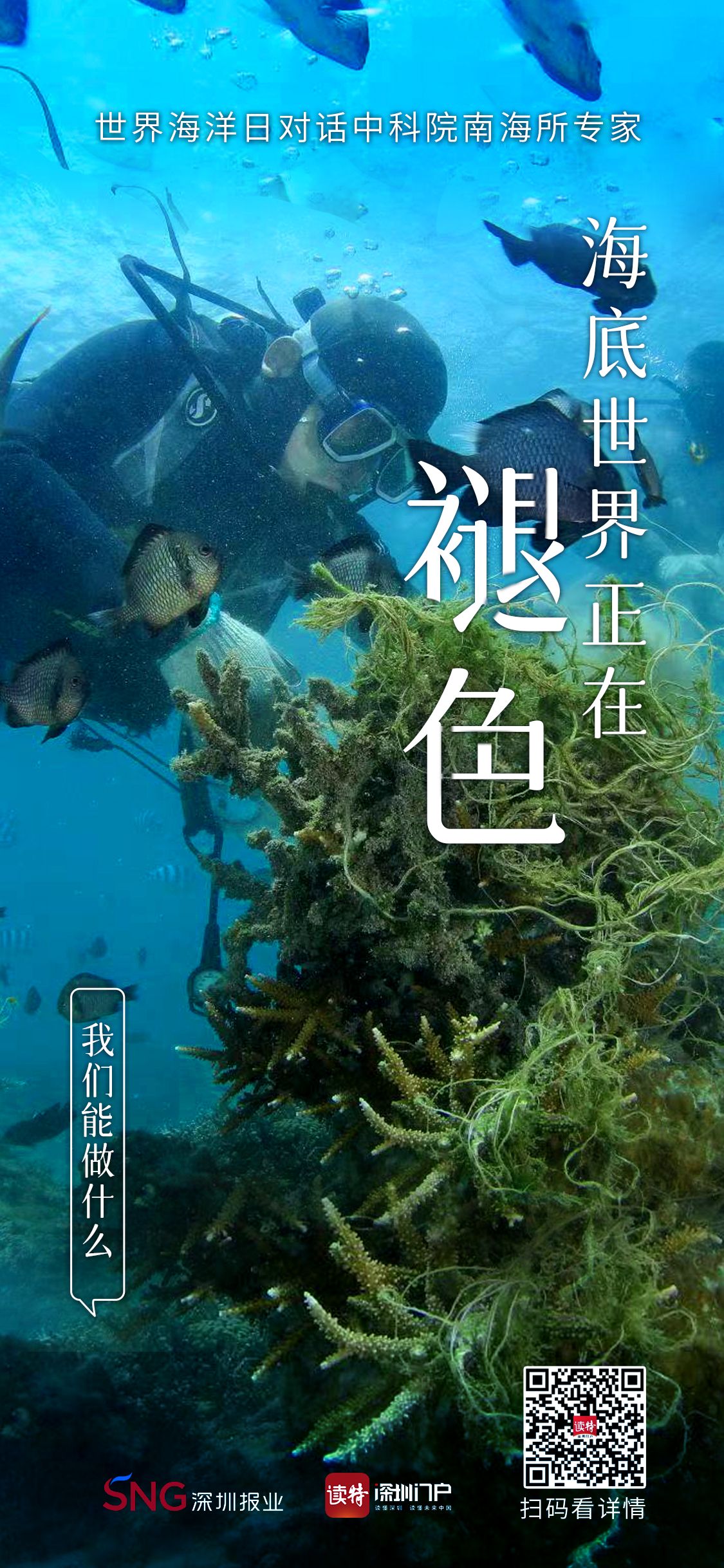 世界海洋日内容图片,世界海洋日海底世界